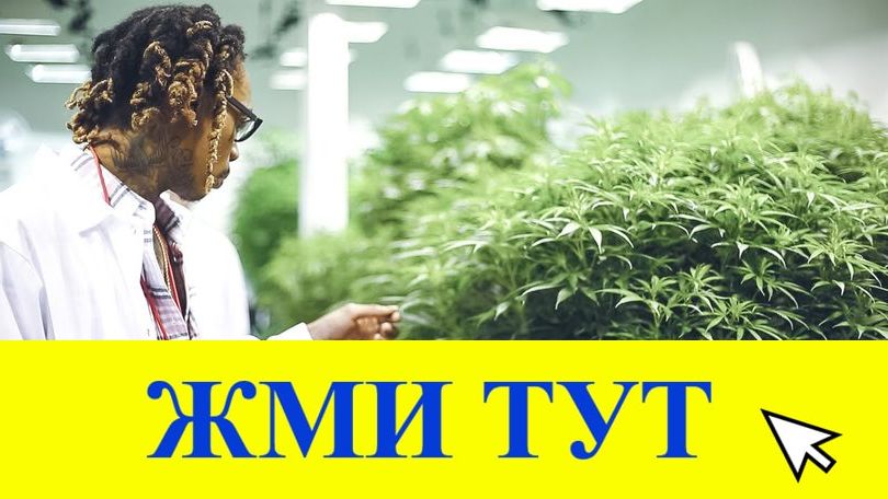 Купить наркотики в Калуге